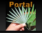 Portal Portal